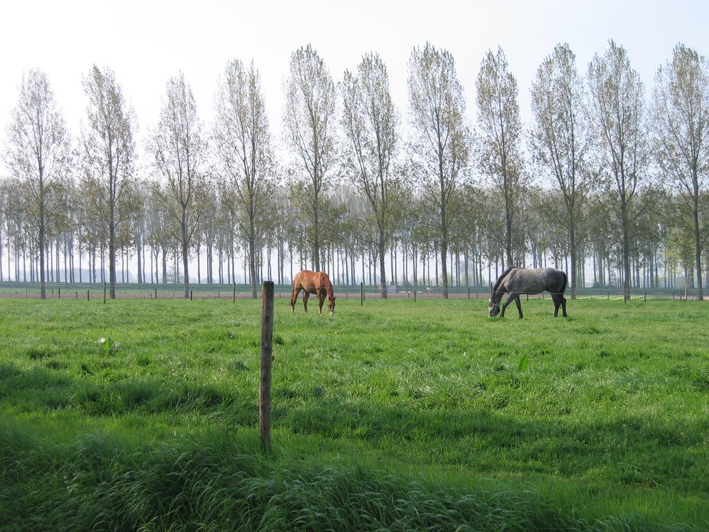 Jardin De Lieze Villa Maldegem Luaran gambar